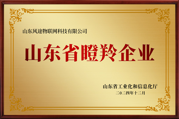 山東省瞪羚企業(yè)證書(shū)